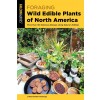 Foraging Wild Edible Plants of North America: More Than 150 Delicious Recipes Using Nature's Edibles (Paperback, 2)