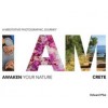 I Am: Awaken Your Nature