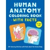 [POD] Human Anatomy Coloring Book with Facts: 35+ Coloring Activities with Facts about the Human Body (Paperback)